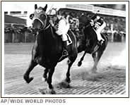 Seabiscuit vs. War Admiral